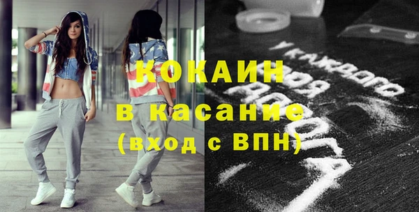 трава Карпинск