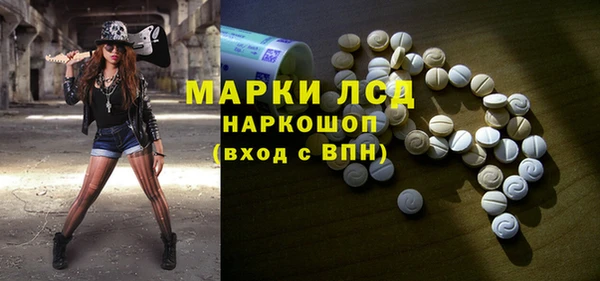 трава Карпинск
