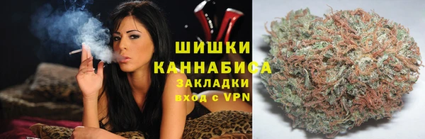 трава Карпинск