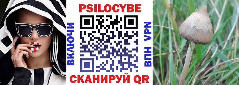 Псилоцибиновые грибы прущие грибы  Кировск 
